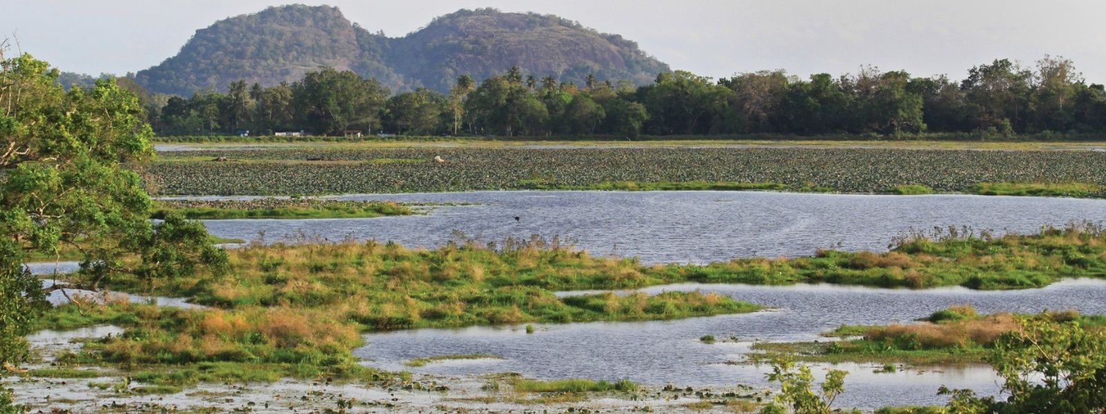 Wildlife Raid Ends in Gunfire—Suspect Hospitalized